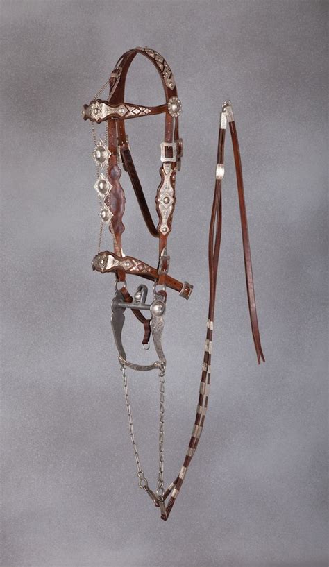 decorative horse halters.